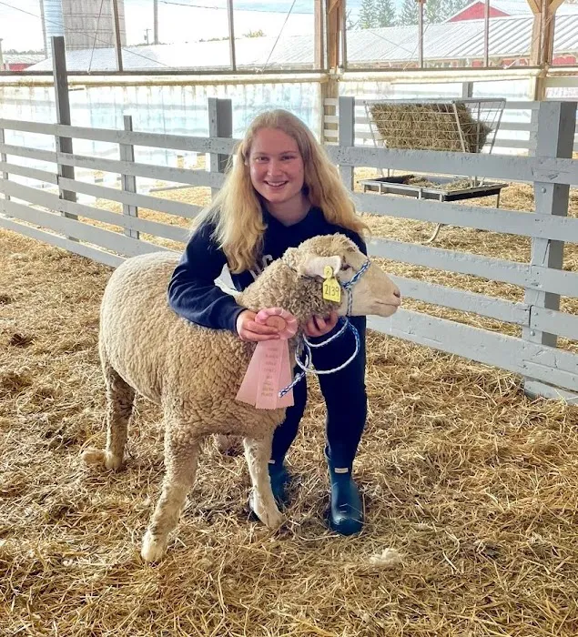 Glastonbury Animal Hospital of Marlborough Picture 10
