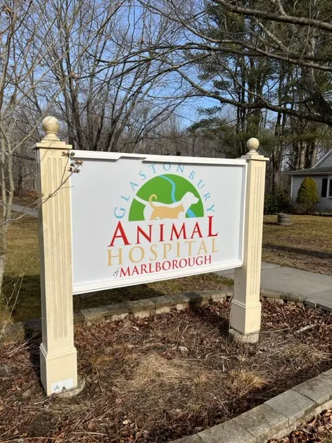 Glastonbury Animal Hospital of Marlborough Picture 1