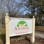 Glastonbury Animal Hospital of Marlborough
