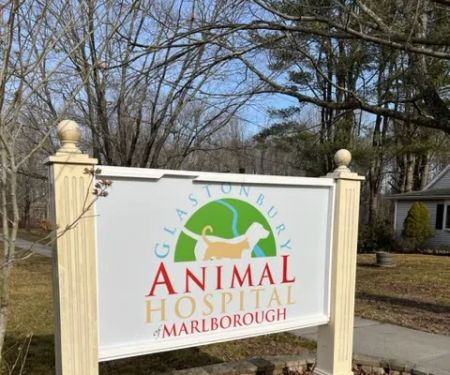 Glastonbury Animal Hospital of Marlborough