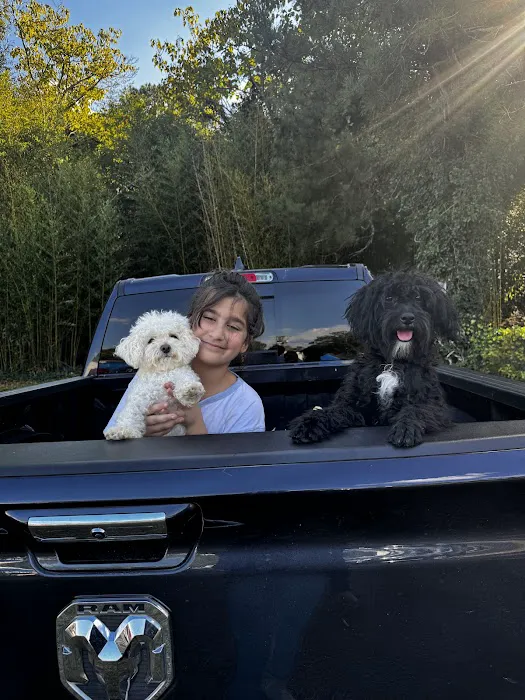 Shanis Luxury Pooches and Pups Picture 8