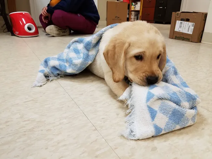 Marlborough Animal Hospital Picture 7