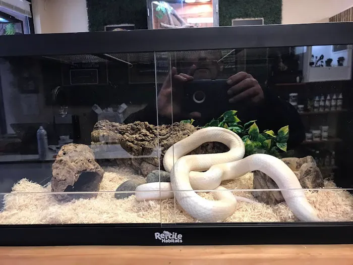Exotic Envy Reptiles Picture 1