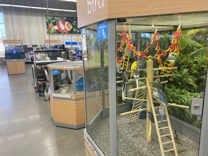 Petco Picture 3