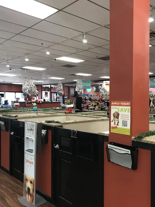 Petland Kennesaw Picture 6
