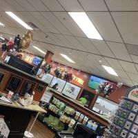 Petland Kennesaw ico