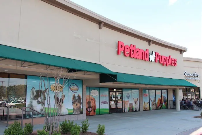Petland Kennesaw Picture 3