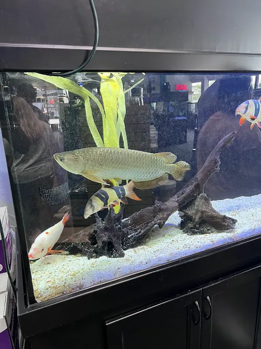 Optimum Aquarium Picture 10