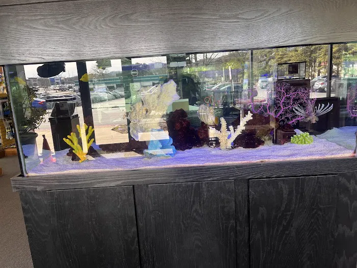 Optimum Aquarium Picture 6