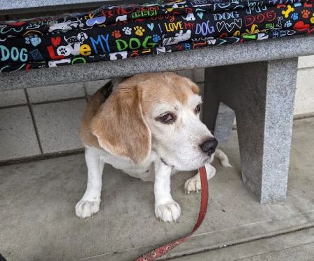 Pawcatuck Veterinary Clinic