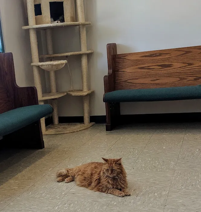 Pawcatuck Veterinary Clinic Picture 4