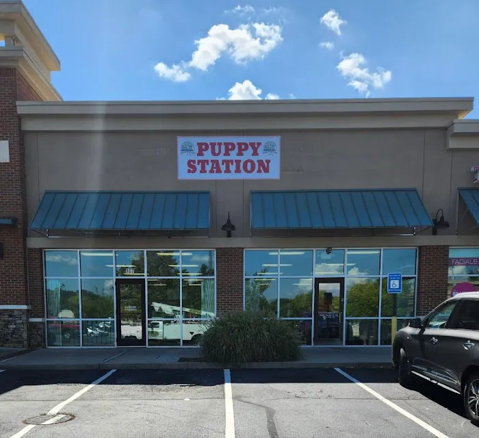 Puppy Station Picture 8