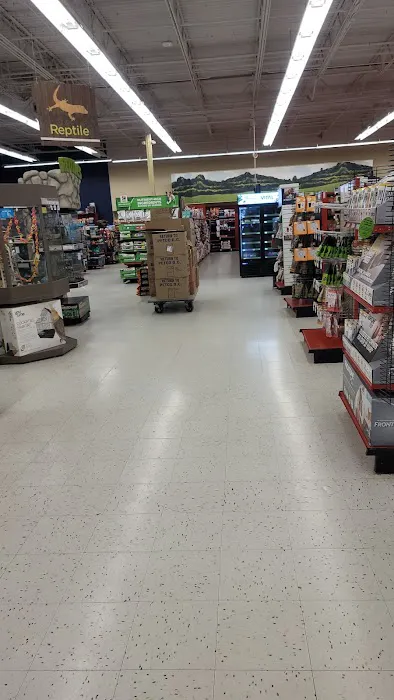Petco Picture 8