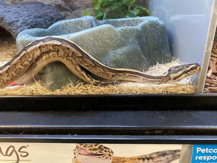 Petco Picture 6