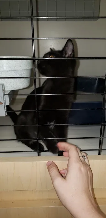 Petco Picture 5