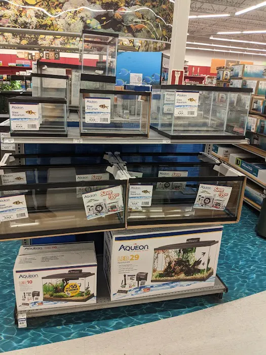 Petco Picture 4
