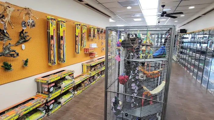 Pets and Supplies Picture 5