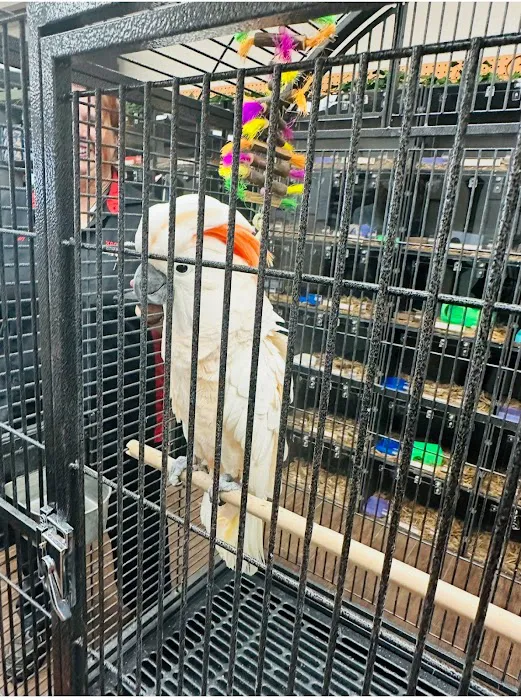 Pets and Supplies Picture 1