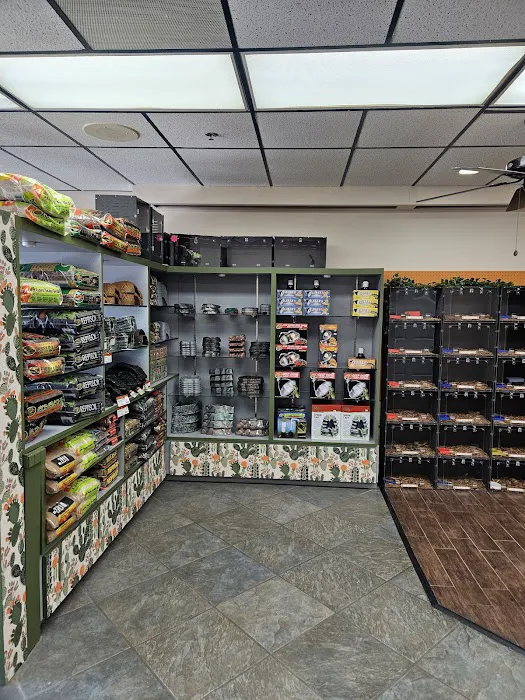 Pets and Supplies Picture 10