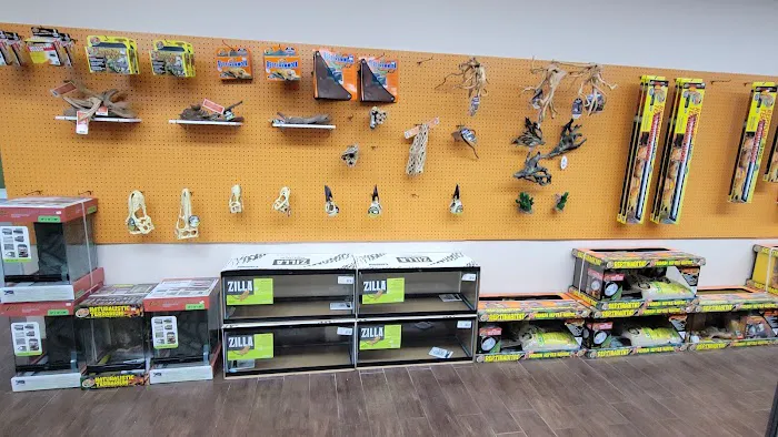 Pets and Supplies Picture 7