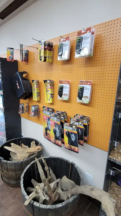 Pets and Supplies Picture 8