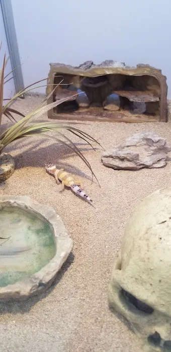 Pet Supermarket Picture 7