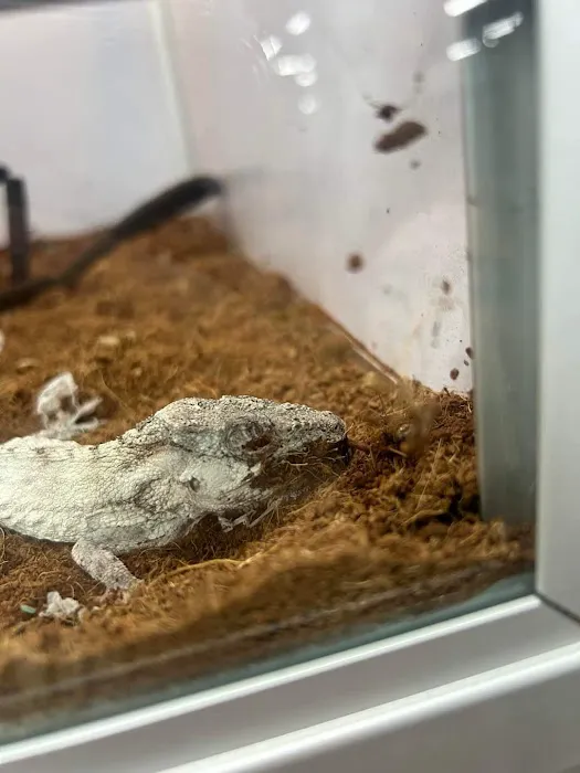 Pet Supermarket Picture 8