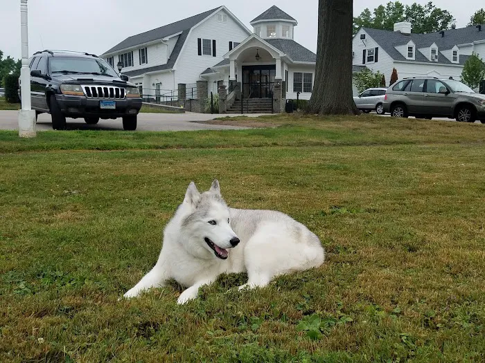 Pieper-Olson Veterinary Hospital Picture 4