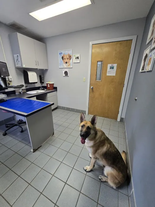 Pieper Veterinary Berlin Street Picture 1