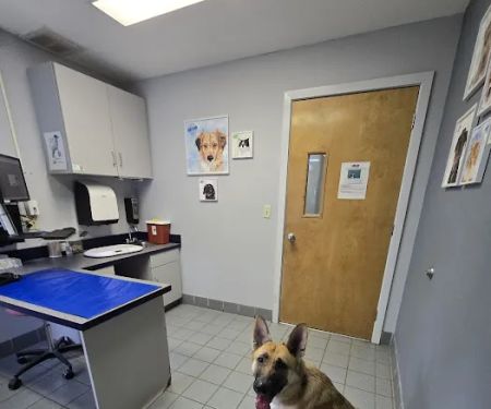 Pieper Veterinary Berlin Street
