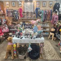 Fabudazzle Pets ico