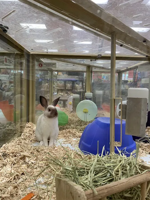 Pet Supermarket Picture 1