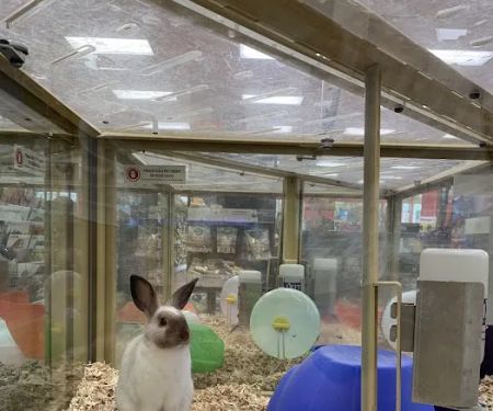 Pet Supermarket