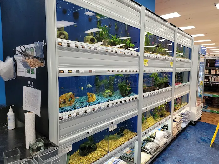 Pet Supermarket Picture 9