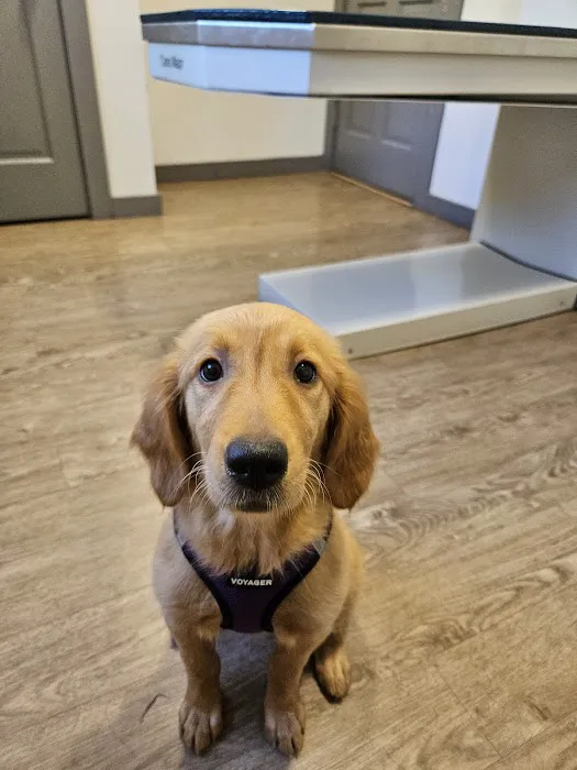 Powder Ridge Veterinary Hospital Picture 9