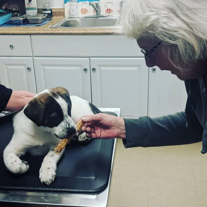 Northford Veterinary Clinic Picture 4