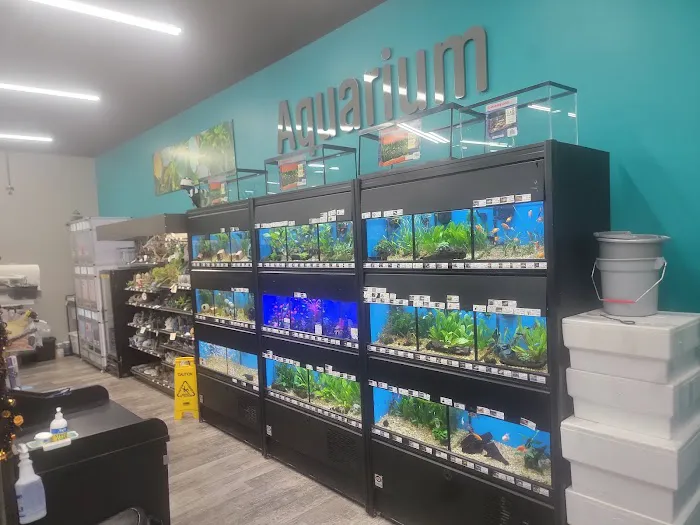 Pet Supermarket Picture 3