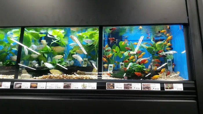 Pet Supermarket Picture 6