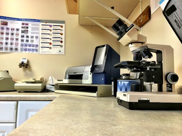 VCA Foxon Animal Hospital Picture 2