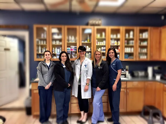 VCA Foxon Animal Hospital Picture 7