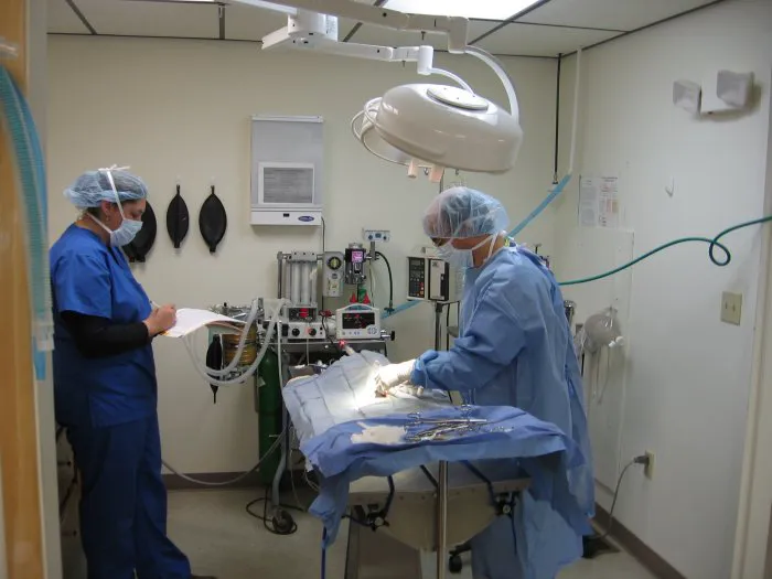 VCA Foxon Animal Hospital Picture 9