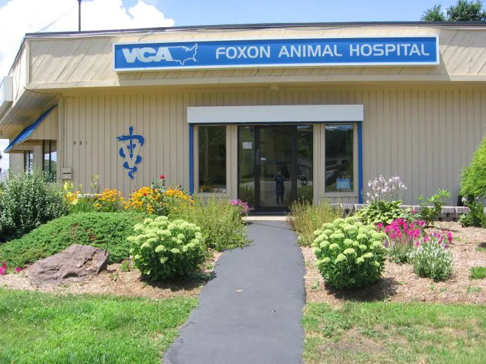 VCA Foxon Animal Hospital Picture 3