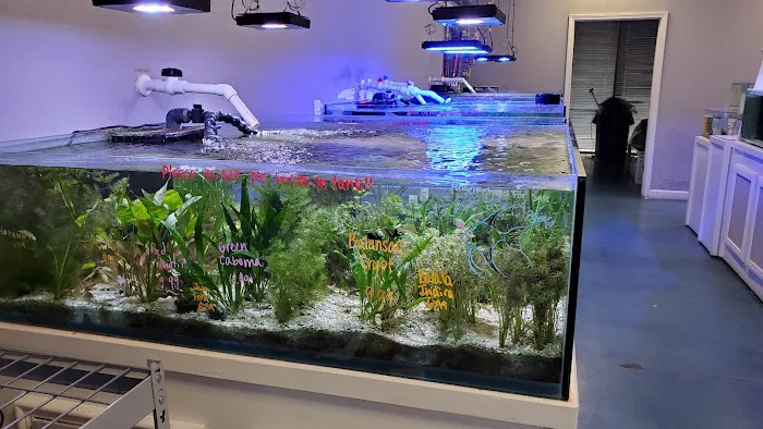 Southern Aquatics Local Fish Store Picture 2
