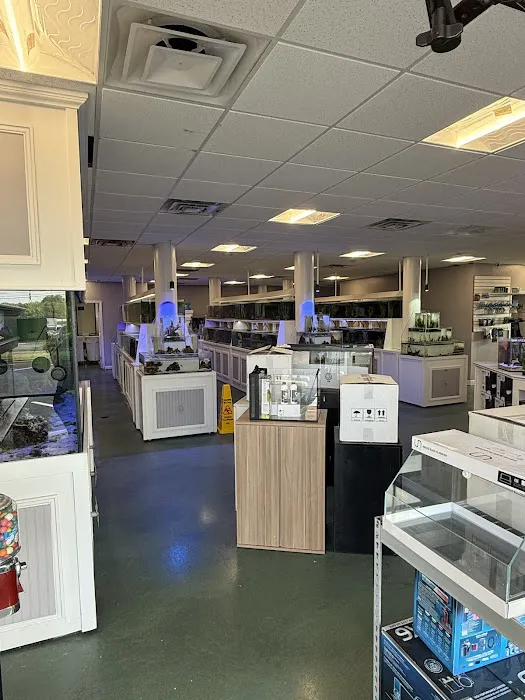 Southern Aquatics Local Fish Store Picture 10