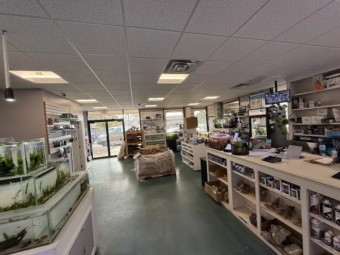 Southern Aquatics Local Fish Store Picture 9