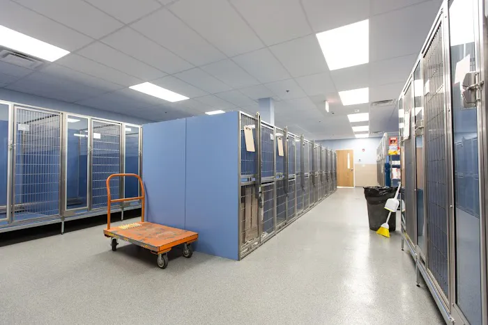 Shore Haven Veterinary Hospital Picture 7
