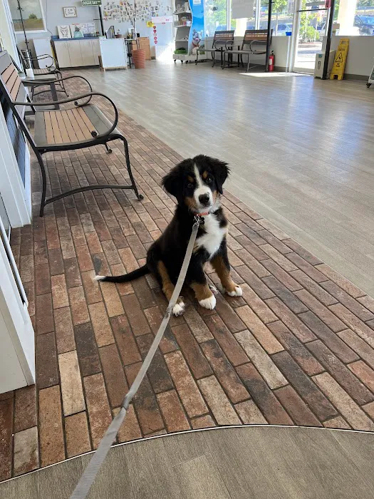 Shore Haven Veterinary Hospital Picture 3