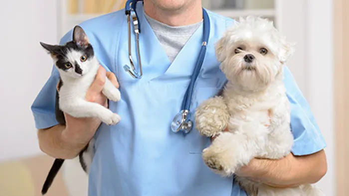 Shore Haven Veterinary Hospital Picture 5