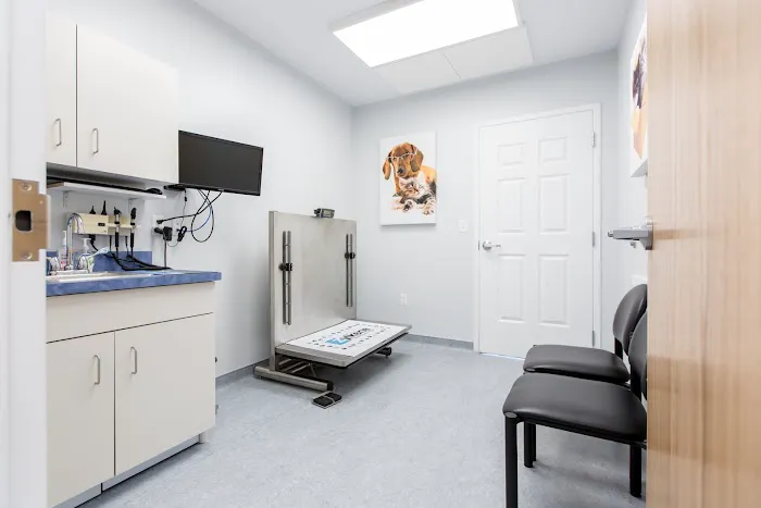 Shore Haven Veterinary Hospital Picture 1