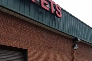 Auto Service Center